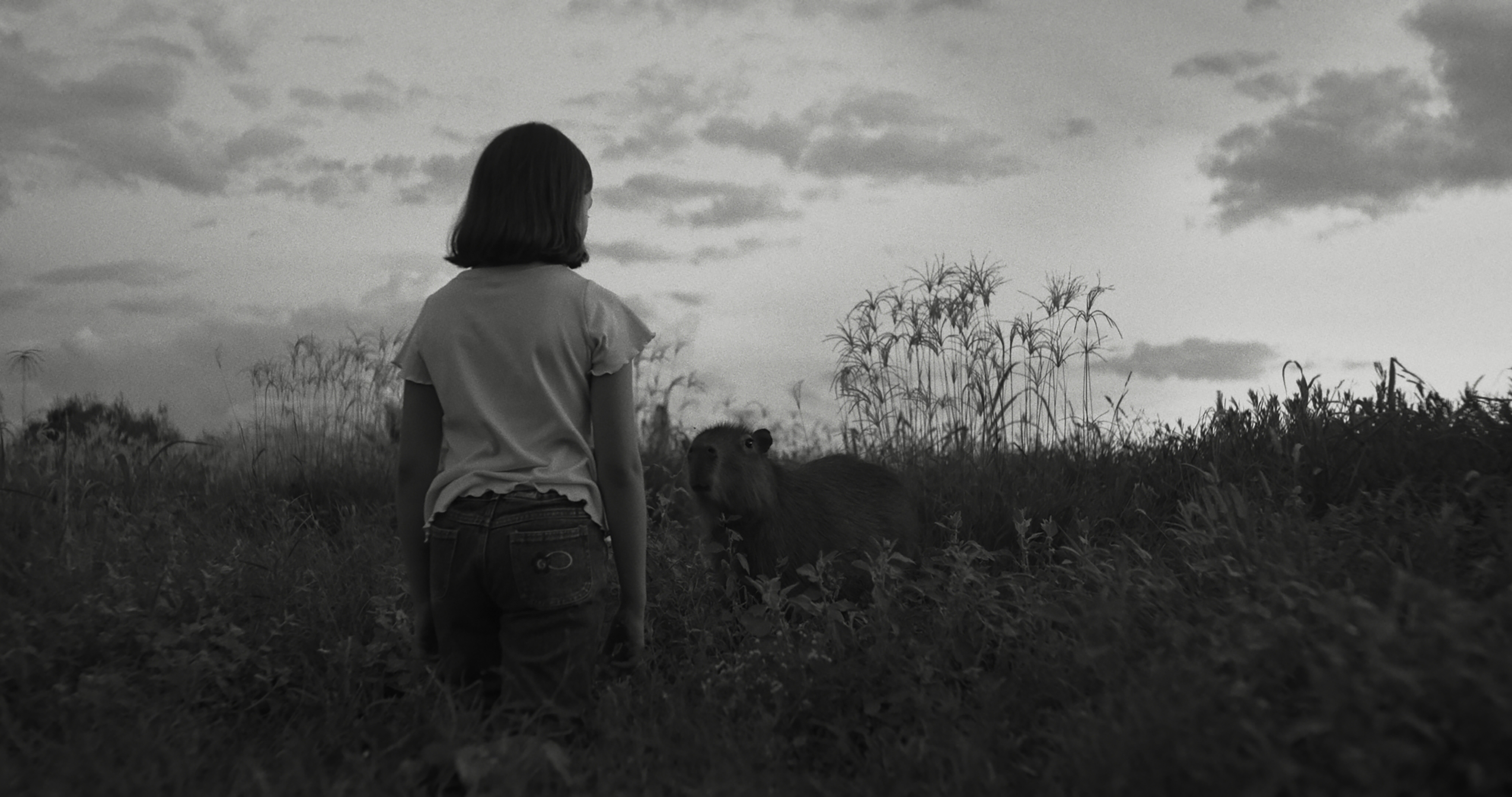 《聽牠怎麼說》電影大圖