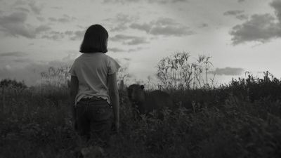 《聽牠怎麼說》電影劇照01